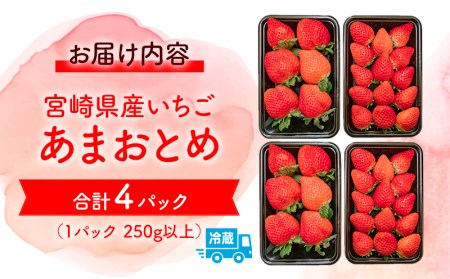 《2025年発送先行予約》【期間・数量限定】いちご「あまおとめ」 (250g×4トレイ・パック) いちご 果物 フルーツ