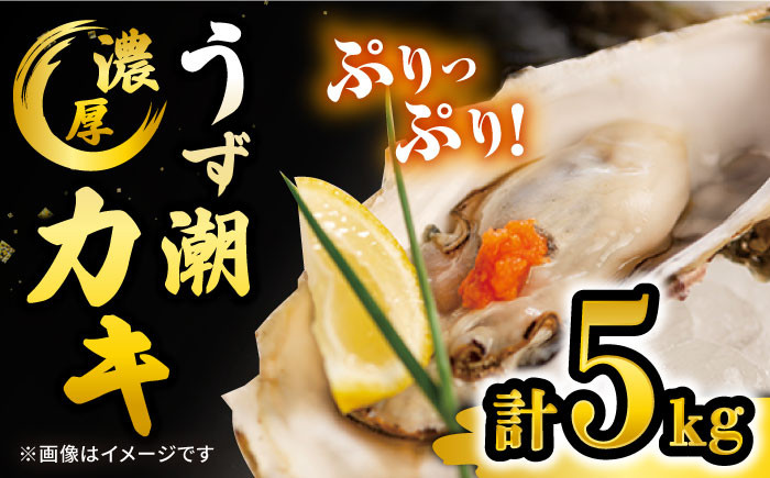 
牡蠣 カキ 【着日指定可☆オゾン水で24時間浄化】【冷蔵】 うず潮 カキ 約5kg（約50～80個） 牡蠣 カキ 生牡蠣 生ガキ 殻つき 冷蔵 西海 長崎 贈答 ギフト 日時指定可 ＜西彼町漁協＞［CBZ002］
