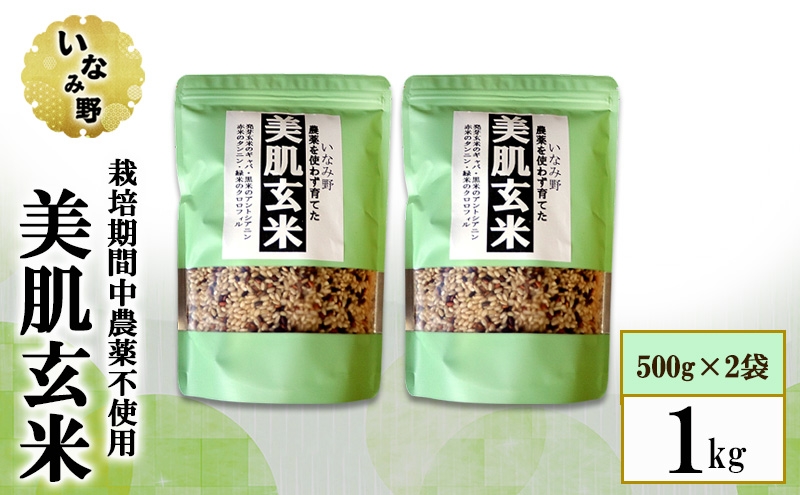 
                  いなみ野 美肌玄米 2袋セット 1kg (500g×2) 　国産 兵庫県産 玄米 発酵玄米 ごはん ご飯 混ぜるだけ 簡単 ビタミン ミネラル 食物繊維 美肌 健康 美容 栄養
                