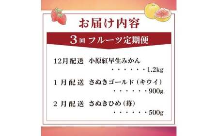 旬のフルーツ 定期便 3回 Cコース フルーツ 定期便