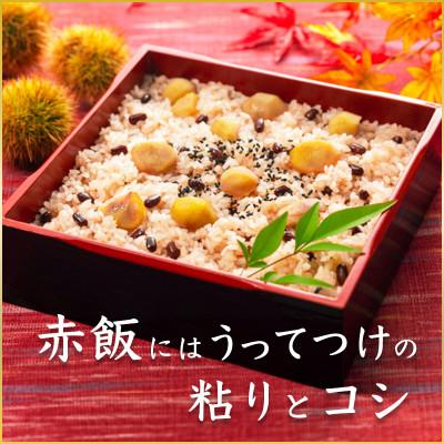 ふるさと納税 城里町 もち米　精米　2kg  マンゲツモチ |  | 03