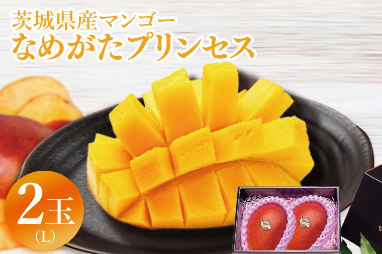
                  【2026年6月下旬より順次発送】★数量限定★マンゴー なめがたプリンセス 2玉(L)｜マンゴー フルーツ 果物 くだもの 数量限定 先行予約 茨城県 行方市(EJ-11)
                