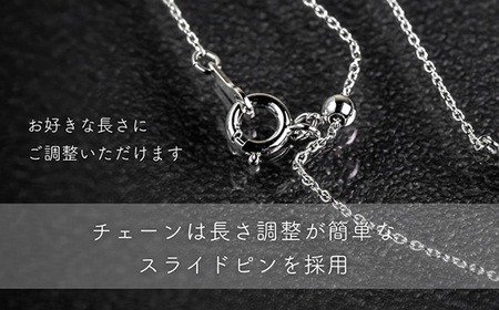 ダイヤ ダイヤモンド ネックレス 0.12ct ジュエリー アクセサリー ペンダント 宝石 プラチナ ギフト プレゼント 贈り物 記念日 お祝い 誕生日 人気 高級 山梨県 西桂町【n0478_liz