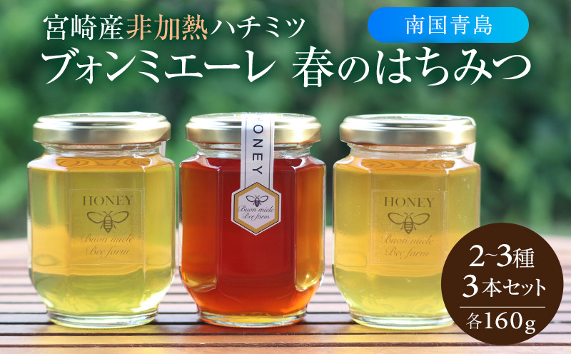 
                  【最速便】【数量・期間限定】宮崎産非加熱ハチミツ(南国青島シリーズ)2～3種 ブォンミエーレ春のハチミツ160g×3本セット｜国産 国産蜂蜜 ハチミツ はちみつ 宮崎県産 宮崎産 蜂蜜 純粋 純粋はちみつ 非加熱 非加熱はちみつ 希少 非加熱処理 瓶 瓶詰 はちみつセット セット 食べ比べ 味比べ 紅茶 ヨーグルト 贈答 贈り物 ギフト プレゼント 化粧箱 おすすめ 人気｜_M085-002_01
                
