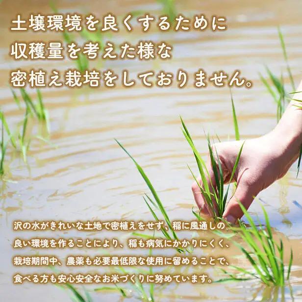 《令和8年産新米予約》 《定期便12ヶ月》【3分搗き】あきたこまち 10kg（5kg×2） 秋田県産 こまちライン 秋田県 大仙市産