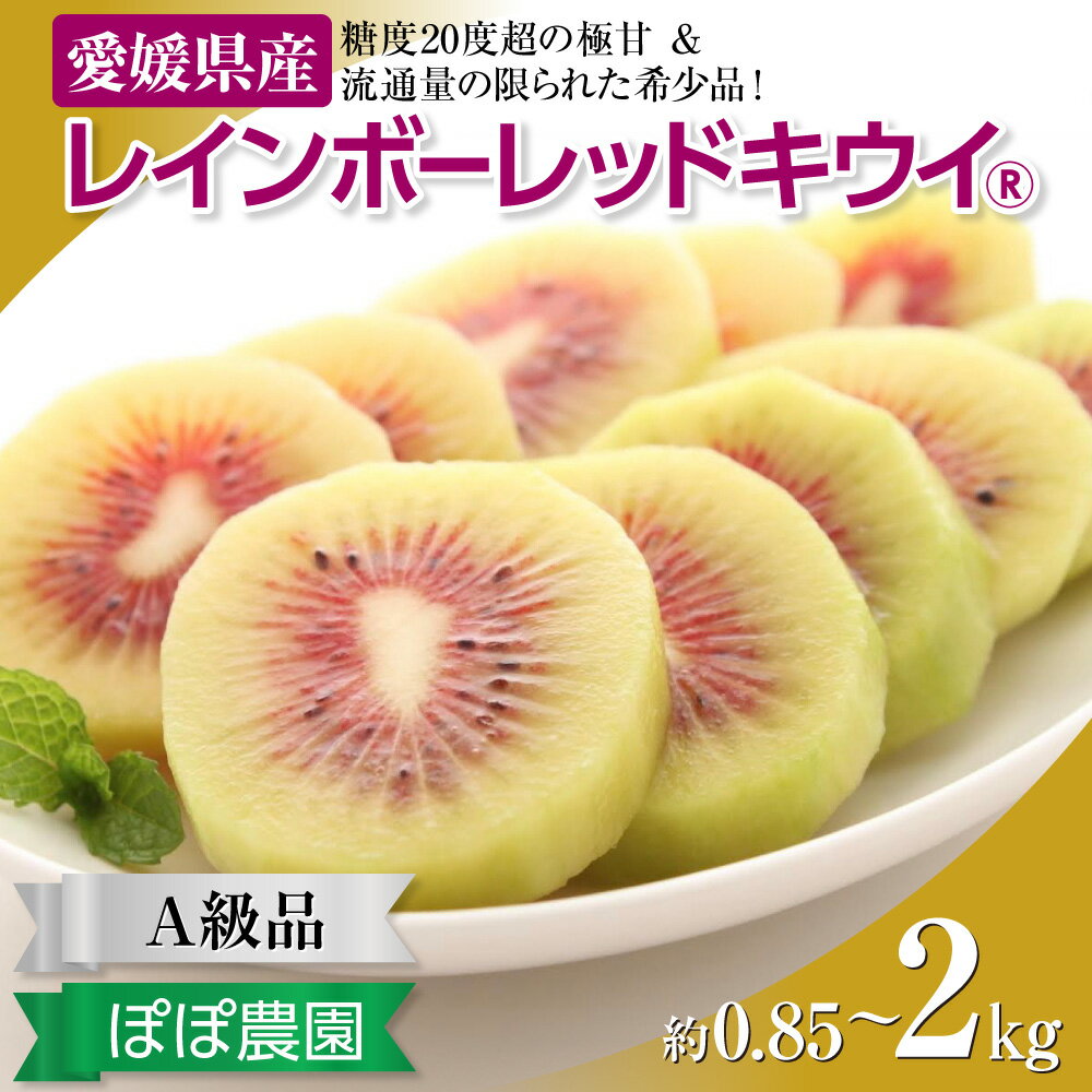 【ふるさと納税】 【25年8月受付開始】 ＜10月下旬以降発送＞ キウイ キウイフルーツ レインボーレッド 最高糖度 20度超の極甘！レインボーレッドキウイ（四国中央市産レインボーレッド）選べる 容量 サイズ