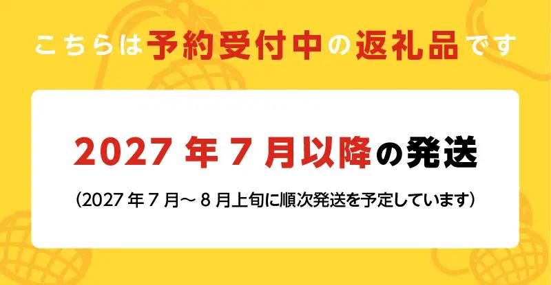 【2027年7月以降お届け】【家庭用】くるめで育った完熟マンゴー（2～3玉：約0.8～1kg）_ 〔Fm009-023〕
