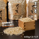 【ふるさと納税】 もち麦 （600g×3パック）生産農家直送便 送料無料 くすもち二条 健康 米 【B120-024】