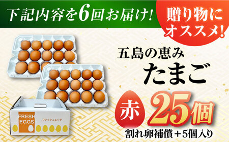 【6回定期便】【箱入り】五島の恵みたまご M-Lサイズ 25個入 / 卵 赤玉子 五島市 / 五島列島大石養鶏場[PFQ046]  玉子 タマゴ 鶏卵 希少 五島列島