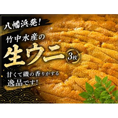 ふるさと納税 八幡浜市 八幡浜発!竹中水産の「宇和海産上質お手軽生ウニ」3枚セット!【G22-219】