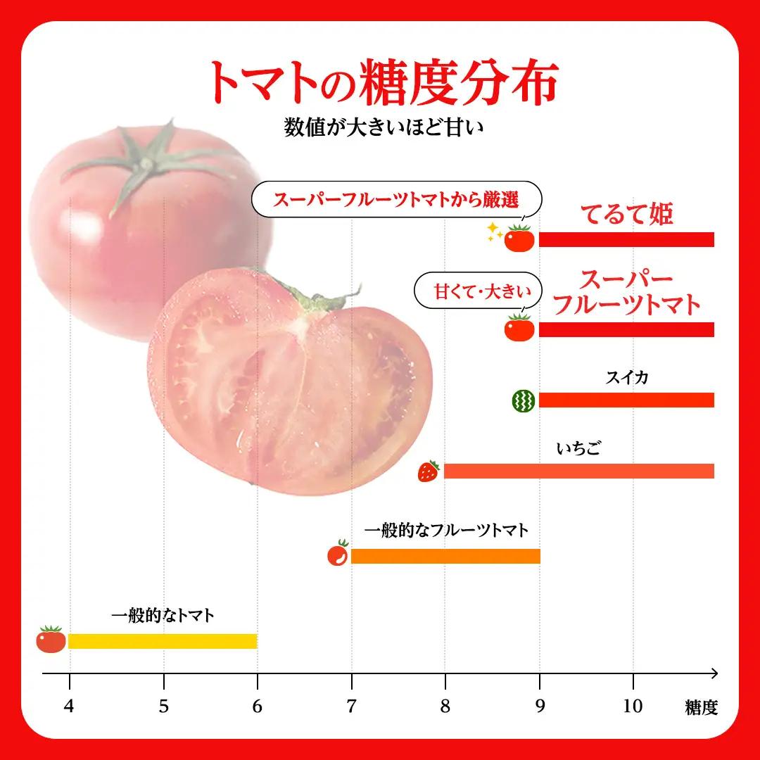 《 2027年 収穫分 》全3回 定期便 フルーツトマト 大箱 約2.6kg × 1箱 × 3回 糖度7度以上 先行予約 3ヶ月 茨城県 桜川市 KEK 国産 トマト ブランドトマト 野菜 ギフト 贈