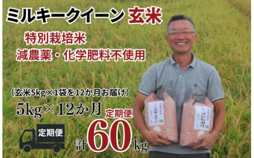 【ミルキークイーン 定期便 玄米 5kg✕12か月連続 松原グリーンファーム】 特別栽培米 ミルキークイーン 玄米 5kg （5kg×1袋） 12か月  合計 60kg  令和7年産 2025年産 小分け 単一米  減農薬 化学肥料不使用 埼玉県認証 埼玉県 川島町