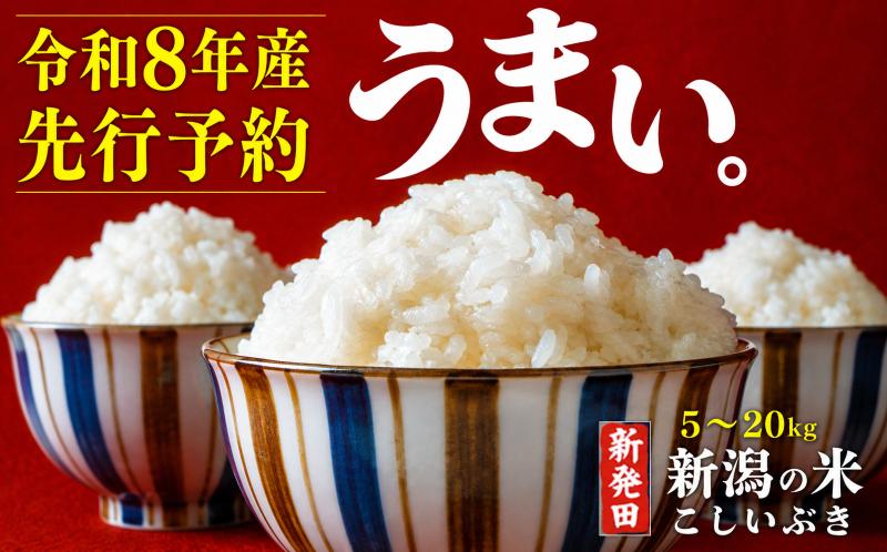 
                  【令和8年産先行予約】新潟限定 こしいぶき 5kg 10kg 20kg 令和8年産 越後の新しい息吹 コシヒカリ の遺伝子を引き継ぐ こしひかり 寄附額見直し 寄附額改定 生活応援 ご飯 備蓄 コメ お米 米 こめ 新潟産 新潟米 新潟県 新潟 新発田 新発田市 国産 新発田市産 斗伸 toushin061P
                