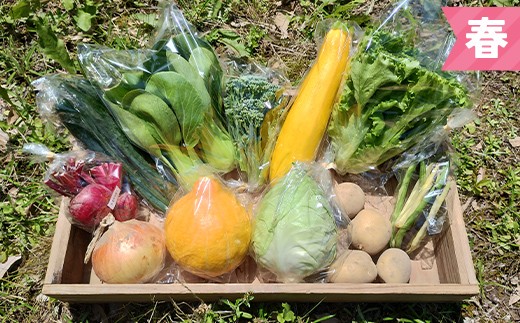 立山の旬野菜セット 新鮮 野菜 サラダ 小分け セット 農薬不使用 冷蔵 国産 食品 F6T-956