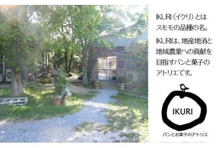 手作りシュー 冷凍 6個 シュークリーム スイーツ [IKR]
