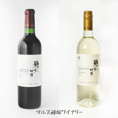 ふるさと納税 韮崎市 韮崎ワイナリーの飲みくらべ6本セット　NS-0006 |  | 01