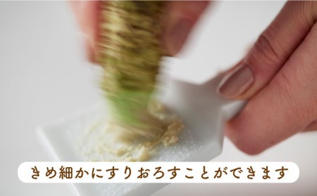 【美濃焼】おろし上手 陶製おろし器・薬味おろし皿 2点セット【ヤマ忠木股製陶】 キッチンアイテム キッチンツール 陶器 [MDB002]