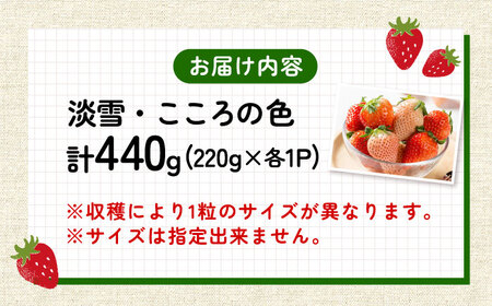【2026年発送分 先行予約】淡雪・こころの色 白いちごプレミアム 計440g（220g×2パック）/ 岸川農園[41ASAG007]