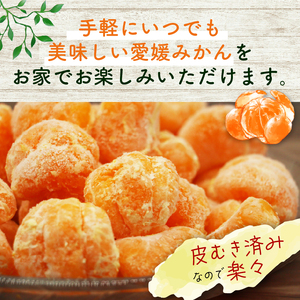 みかん職人の手掛けたこだわりみかん!外皮をむいたまるごと冷凍みかん　500g(500g×1袋)【配送不可地域：離島】【1680289】