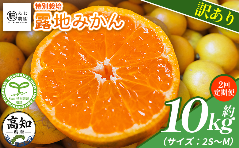 【2回定期便】ふじ農園の露地みかん 訳あり品 10kg(2S～M) - 5kg×2箱 計10kg 国産 小玉 蜜柑 ミカン 柑橘 果物 フルーツ 訳アリ ご家庭用 自宅用 ふじ農園 高知県 香南市【常