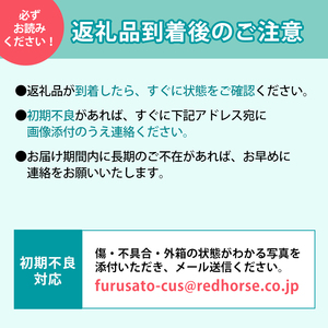 先行予約 さくらんぼ 約500g　2025年6月～7月上旬発送※オンライン決済限定