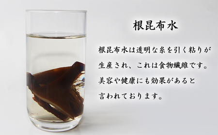 北海道 礼文島 香深産 希少 一等検 5年蔵熟成 天然 利尻根昆布 100g×2袋［野崎水産］【 昆布 根昆布 根こんぶ だし昆布 出汁 利尻昆布 熟成 根昆布水 海藻 】