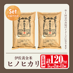 isa793 《数量限定・12回定期便》令和7年産 小北農場のお米 伊佐黄金米〈ヒノヒカリ〉(計120kg・5kg×2袋×12回) 鹿児島 伊佐 お米 120kg 定期便 12回 特別栽培米 伊佐米 