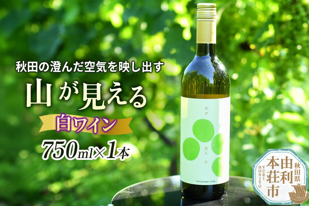 白ワイン「山が見える」（スティルワイン白）750ml×1本 [白ワイン ワイン 酒 お酒 アルコール 飲料 国産 日本産 秋田 TOYOSHIMA FARM]