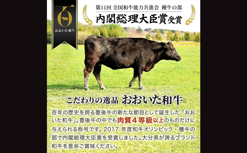 【冷蔵】おおいた和牛サーロインステーキ (200g×2枚) | 牛肉 ステーキ肉 国産 九州 大分県 豊後高田市