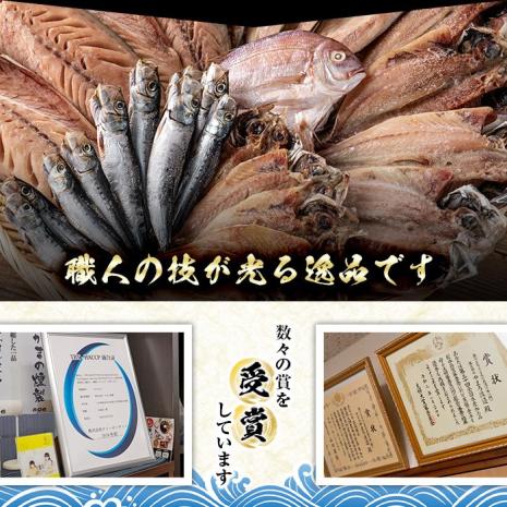 ＜訳あり＞干物 バラエティセット (8種：隔月3回) 定期便 簡単 調理 干物 あじ かます さば きびなご あつめし ぶり ぶりかま フライ 開き 魚 海鮮 冷凍 詰め合わせ 大分県 佐伯市 やまろ
