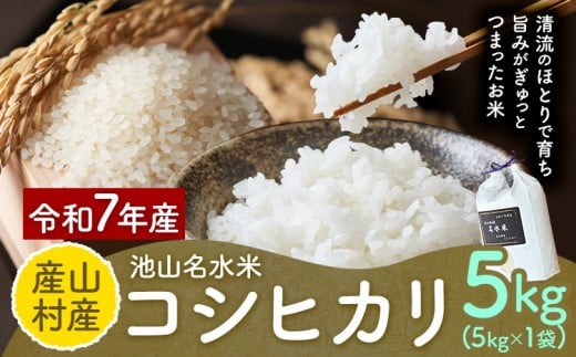 令和7年産 池山名水米 コシヒカリ 白米 精米 5kg カフェスタンド フォーシーズン《30日以内に出荷予定(土日祝除く)》熊本県 産山村 産山村産 こしひかり ご飯 こめ 白ご飯