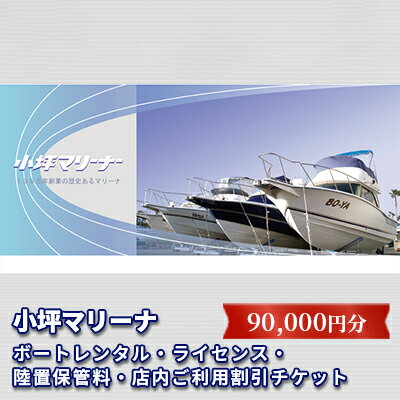 【ふるさと納税】【小坪マリーナ】ボートレンタル・ライセンス・陸置保管料・店内ご利用割引チケットB　体験チケット・地域のお買い物券