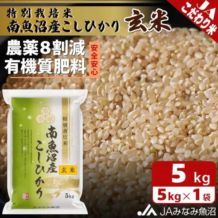 【令和8年＼新米／】特別栽培米南魚沼産こしひかり8割減 玄米 5kg ｜こしひかり