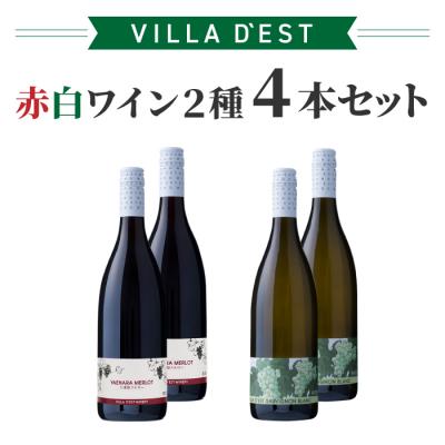 ふるさと納税 東御市 日本ワインコンクール金賞! 赤白ワイン 2種4本セット|【ヴィラデストワイナリー】