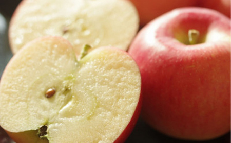 《先行予約 2024年度発送》山形ふじりんご 約2.5kg 約7玉～約9玉 FSY-1230