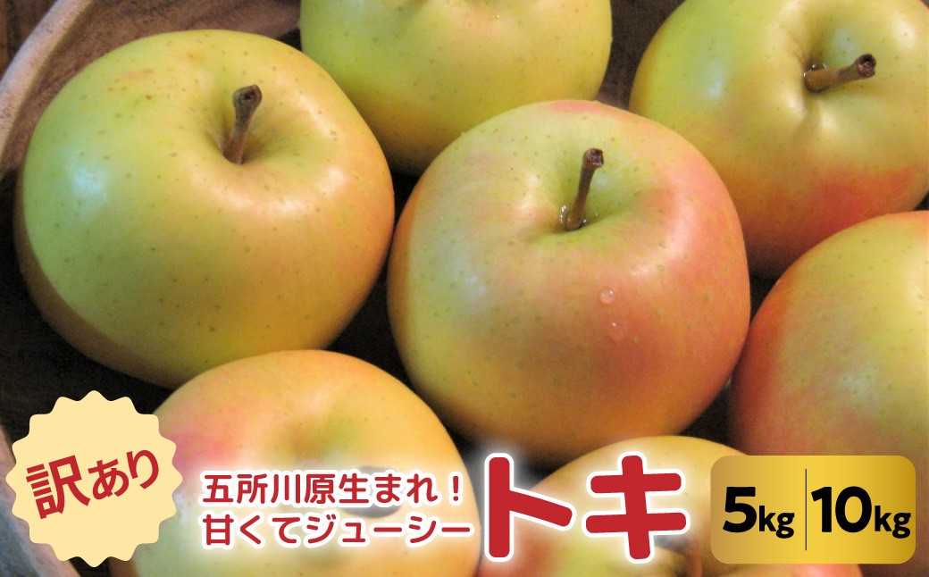 
                  【選べる内容量】【2026年10月後半以降順次発送】【訳あり】 りんご トキ 《 約5kg または 10kg 》 青森県 五所川原市 ≪光センサー選果保証≫
                
