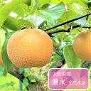 【ふるさと納税】豊水 約5kg / 中島梨園 /梨 なし 果物