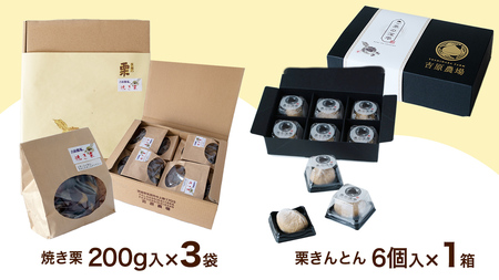 【 吉原農場 の 完熟栗 】 熟成 焼き栗 3袋・栗きんとん 1箱 セット [CX025ci]