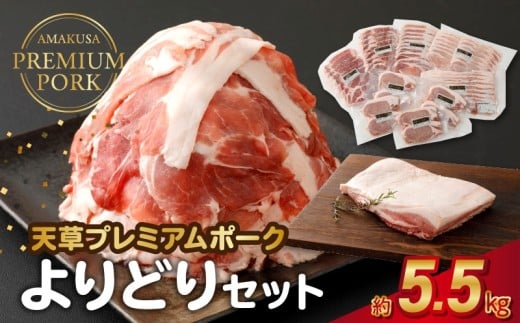 S058-027_天草プレミアムポークよりどりセット約5.5kg