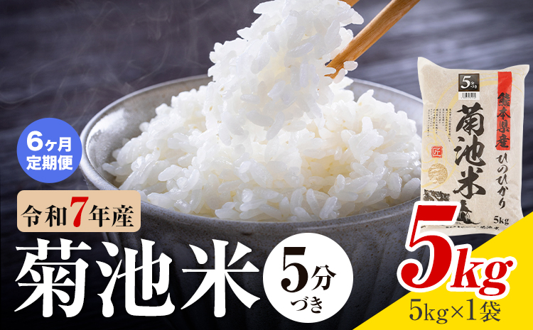 【6ヶ月定期便】令和7年産 熊本県産 菊池米 5分づき 5kg 1袋5kg 株式会社くまもとごはん 《お申込み翌月に出荷予定》米 お米 令和7年産 九州産 熊本県産  送料無料---026-3128m
