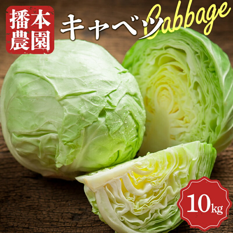 【ふるさと納税】＜先行予約＞播本農園のキャベツ 10kg キャベツ 甘い 野菜 サラダ 食品 四国 F5J-900