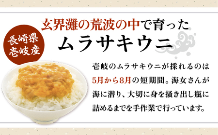 旬のイカ一夜干し2枚＋あじみりん＋あじの干物＋いわしみりん＋旬の干物（かます＋鯛＋いさき＋かさご＋あかはた＋アコウ＋ムツなど）＋うに60g 《壱岐市》【合同会社塚元】[JDR028]