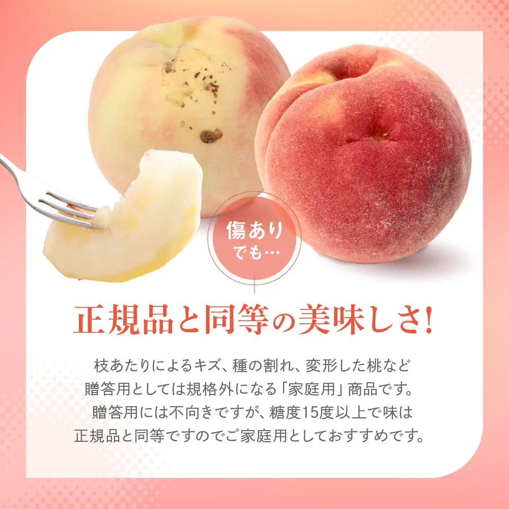 訳あり 桃 飛騨の桃（4-8玉）