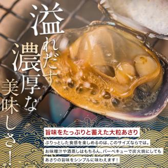 砂出し済 大粒の天然あさり1kg ふるさと納税 あさり _F4F-0344