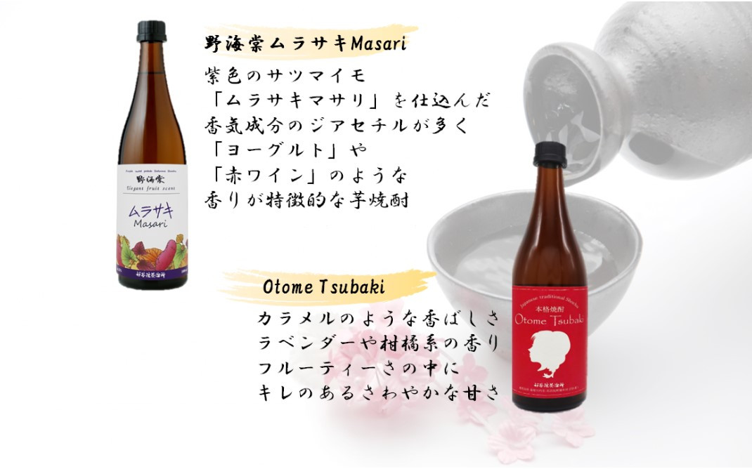 HS-001 蔵元セレクション・鹿児島の本格焼酎 720ml×12本セット 芋焼酎 麦焼酎 祁答院蒸溜所