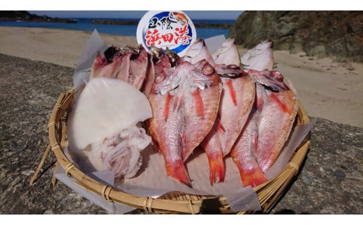 しまね浜田の美味しいのどぐろ あじ カレイ 白いか 一夜干しセット 魚介類 魚貝類 魚 干物 干もの 一夜干し おかず つまみ セット 詰め合わせ 父の日 アカムツ【161_1405】