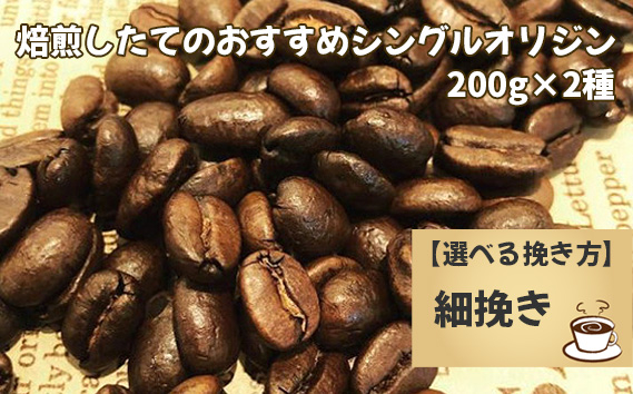 焙煎したてのおすすめシングルオリジン 200g×2種（細挽き） No.170-04