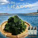 【ふるさと納税】高評価★5.0 高レビュー★ 日本海・京丹後産／【長寿食】手揉みわかめ　3本入り 海藻 わかめ ワカメ 板わかめ サラダ パスタ お味噌汁 国産わかめ ふりかけ 海草 ふるさと納税 わかめ わかめふりかけ ギフト 贈り物 お祝い 天の酒喰 あまのじゃく