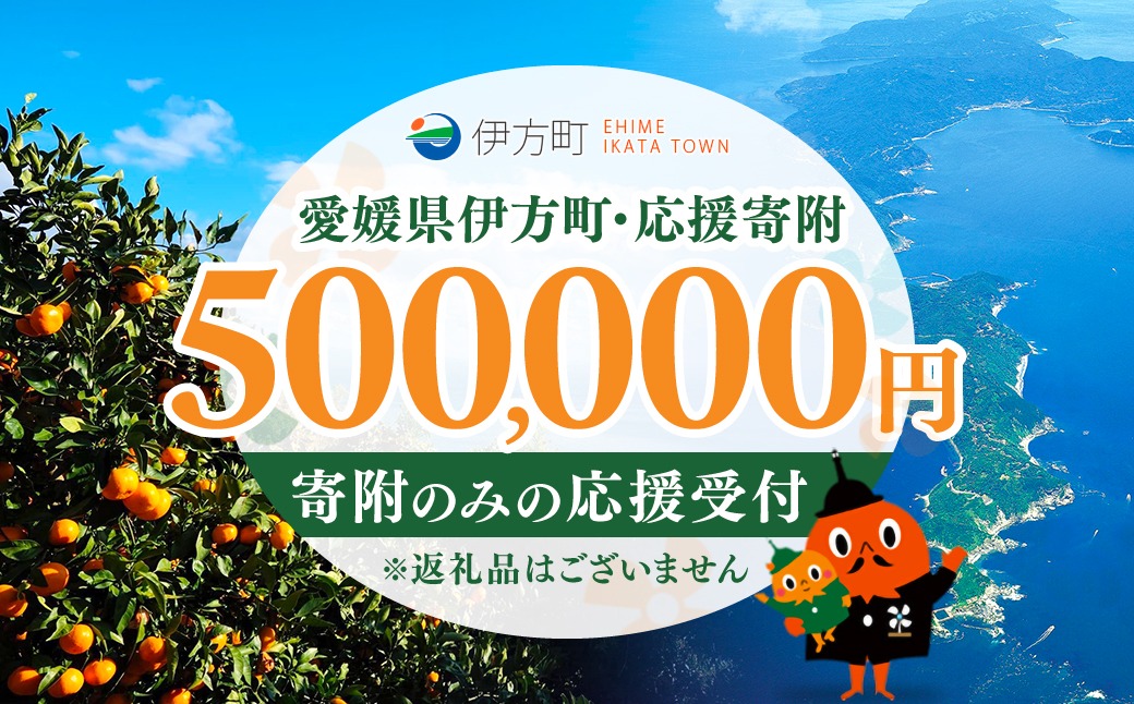 【返礼品なし】愛媛県伊方町・応援寄附50,000円（寄附のみの応援受付 ※返礼品はございません） IKTBG005