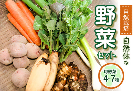 ＜京都府木津川産＞自然体な野菜セット(旬の野菜4～7種) 自然栽培 無肥料 野菜 やさい 野菜セット こだわり 特別栽培 野菜詰合せ 旬の野菜 新鮮 Red Rice 自然農園 京都府 木津川  086-02